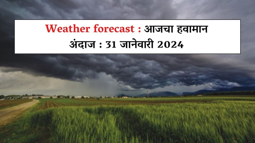 Weather forecast : आजचा हवामान अंदाज : 31 जानेवारी 2024