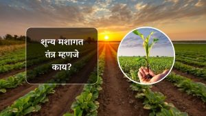 Cultivation : शून्य मशागत तंत्र म्हणजे काय?