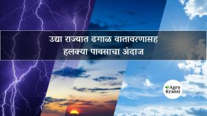 उद्या राज्यात ढगाळ वातावरणासह हलक्या पावसाचा अंदाज