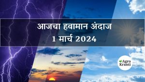 आजचा हवामान अंदाज : 1 मार्च 2024