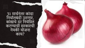 Onion export ban will be lifted after March 31