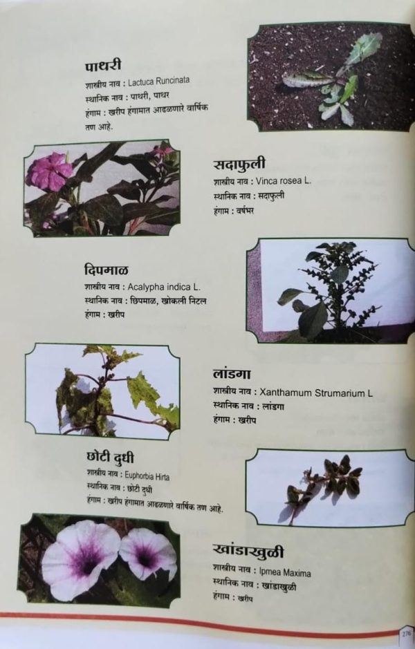 कीटकनाशके बुरशीनाशक व तणनाशक मार्गदर्शिका - Image 6