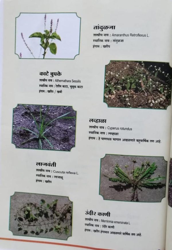 कीटकनाशके बुरशीनाशक व तणनाशक मार्गदर्शिका - Image 4