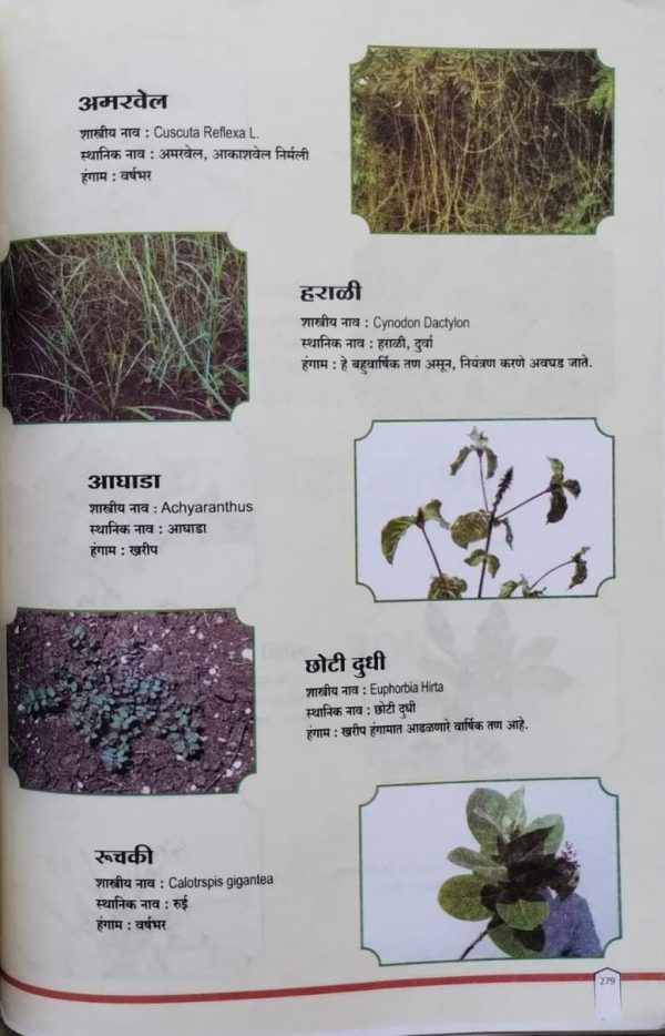 कीटकनाशके बुरशीनाशक व तणनाशक मार्गदर्शिका - Image 3