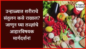 उन्हाळ्यात शरीराचे संतुलन कसे राखाल? जाणून घ्या तज्ज्ञांचे आहारविषयक मार्गदर्शन!