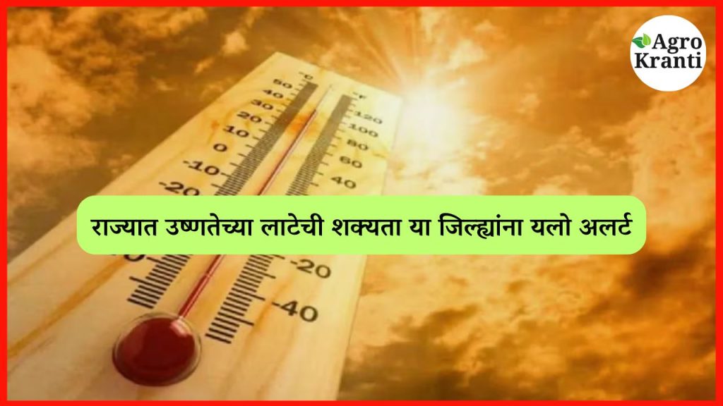 राज्यात उष्णतेच्या लाटेची शक्यता; या जिल्ह्यांना यलो अलर्ट