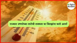 राज्यात उष्णतेच्या लाटेची शक्यता; या जिल्ह्यांना यलो अलर्ट