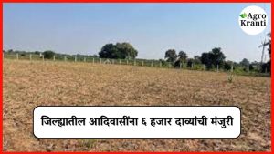 जिल्ह्यातील भूमिहीन आदिवासींना हक्काची जमीन; ६ हजार दाव्यांना मंजुरी