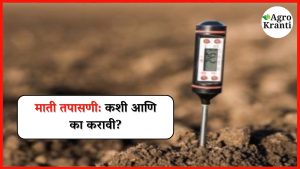 शेतातील माती का आणि कशी तपासावी? जाणून घ्या तज्ञांचे मार्गदर्शन!