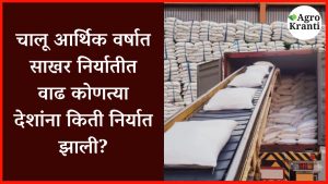 साखर निर्यात, भारत, सोमालिया, अफगाणिस्तान, परकीय चलन, इथेनॉल, साखर उद्योग