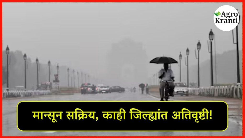 मान्सून जवळपास सक्रिय, या जिल्ह्यांत पुढील तीन-चार दिवस अतिवृष्टीचा इशारा!
