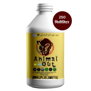 250 ml
