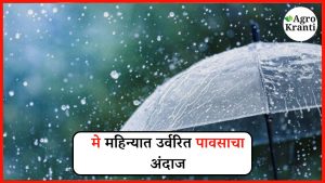 मे महिन्यात उर्वरित काळात पावसाचा अंदाज कसा असेल? जाणून घ्या सविस्तर माहिती