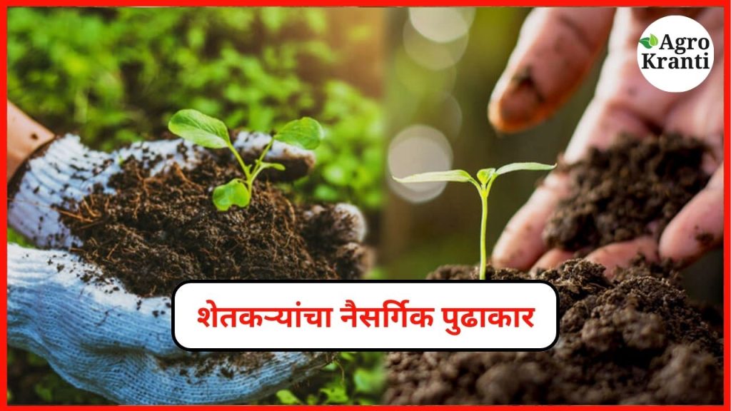 नैसर्गिक शेतीत 'या' जिल्ह्यांतील शेतकऱ्यांचा महत्त्वपूर्ण पुढाकार