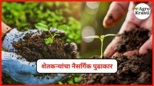 नैसर्गिक शेतीत 'या' जिल्ह्यांतील शेतकऱ्यांचा महत्त्वपूर्ण पुढाकार