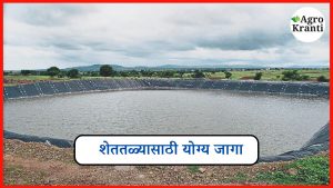 शेततळ्यासाठी योग्य जागा कशी निवडावी? जाणून घ्या सविस्तर