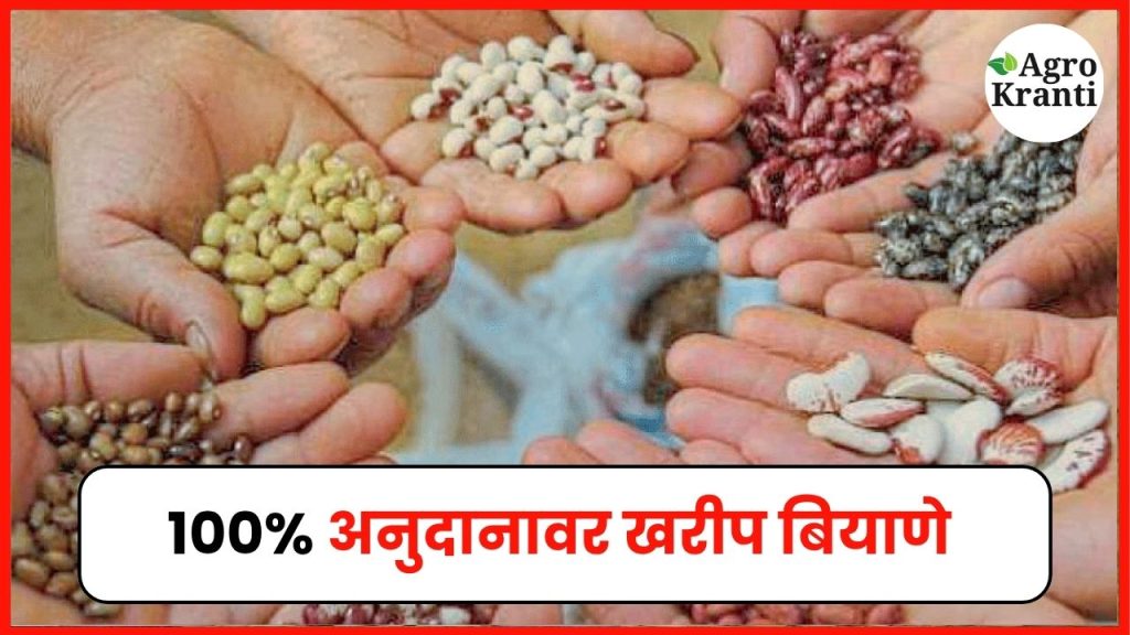खरीप पेरणीसाठी १००% अनुदानावर बियाणे; जाणून घ्या लाभ कसा घ्यायचा!