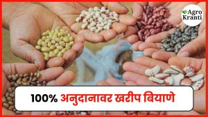खरीप पेरणीसाठी १००% अनुदानावर बियाणे; जाणून घ्या लाभ कसा घ्यायचा!